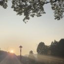 상소오토캠핑장 이미지