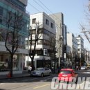 가로수길 CNB뉴스
