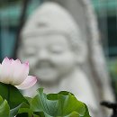 6254, 高低고저.... 이미지