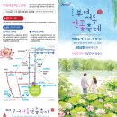 버들잎 | 공주근교 부여 아이랑 궁남지 제24회 부여서동연꽃축제 당일치기여행