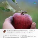 요셉농장2 이미지