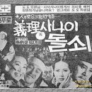미쓰촌닭 Daum카페