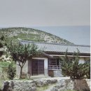 동항초등학교 이미지