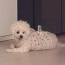 783 | 데일리토너추천 저자극이라 매일 쓰기 좋은 아베아 제품 후기