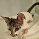 거석경로당 이미지