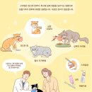 곤지암행복동물병원