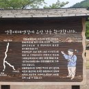 6월16일 화요일 괴산 연어봉 신선봉 마패봉 산행안내 이미지