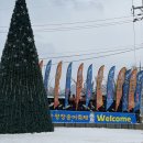 호텔대관령산방 | [평창송어축제] 강원도 가볼만한 곳 추천 송어 잡고 썰매 타고, 입장료, 준비물, 꿀팁 모아모아