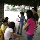 (학교)경포여중 이미지