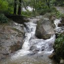 인적없는 청계산 오후산행, 말복날의 삼계탕 이미지