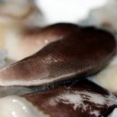 시월애레스토랑 이미지