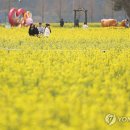 낙동강변 축구장 2 이미지