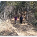 솔향기공원 이미지