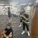 슈가복싱 이미지