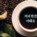 공간곡선커피