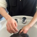 금오전기 | [의정부 미용실 추천] 의정부 트리니티헤어 금오점 아윤채클리닉 후기