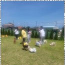 댕그라운드 | 부산애견동반카페 반려견과의 특별한 시간, 댕그라운드 애견카페 방문 후기