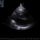 샤인고양이메디컬센터 이미지