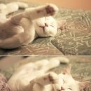 말랑말랑 이미지