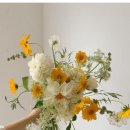 소피토제주