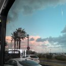 멍발머리 | 제주 3박 4일 - 주스멍 도르멍 5기 서포터즈 후기