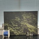 팽브로우 이미지