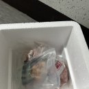 정원에프엔비 | 비알비에프엔비 항정살/ 캠핑음식추천 ,캠핑고기/ 솔트이에징 숙성육/솔직후기
