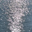 칠암맘 민박 이미지