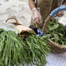 현강농장 이미지