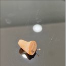 이어케어보청기 주식회사 | 청주보청기 청력에 좋은 선물