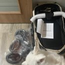 싸다펫 | 강아지 중형견 스피츠 10kg 아로아3 일체형 개모차 내돈내산 찐 후기