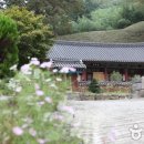 삼애식품 이미지