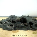 감자 바우 이미지