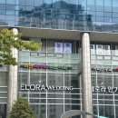 송파우체국 | 송파 신상 웨딩홀 <엘로라인가든> 홀 &amp; 뷔페 후기💍