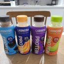 (주)바나나10 | 랩노쉬 프로틴 드링크 초코, 멜론, 바나나, 쿠앤크 맛 순위 비교 및 내돈내산 후기