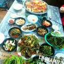 촌닭민박 이미지