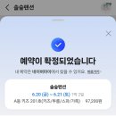 솔숲펜션 | 경주 양남 펜션 가성비 좋은 수영장 가족 단체 숙소 솔숲펜션 후기