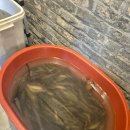 마포추어탕 | [마포 대흥동] 몸보신으로 좋은 추어탕 내돈내산 맛집 추천 - 김미정 남원추어탕