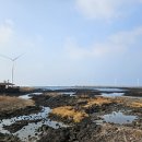 제주오름태양광발전소 | 제주 신창풍차해안도로 – 푸른 바다와 바람을 가르는 힐링 드라이브 코스