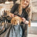 더펫미용실 이미지