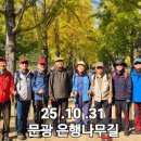 괴산 문광저수지 은행나무길을 돌아오다 이미지