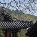 풍경소리 이미지