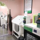 버블독스 이미지