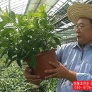 외반농장 이미지