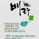 청춘과일 이미지