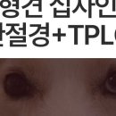 동울산동물병원 이미지