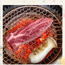 주식회사 양파이 이미지