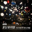 제주포도 | 제주 서쪽 미술관 전시회 추천 포도뮤지엄 우리 이토록 작은 존재들 후기 (-8/8)