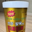 텐텐 이미지