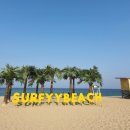 서피비치(surfyy beach)